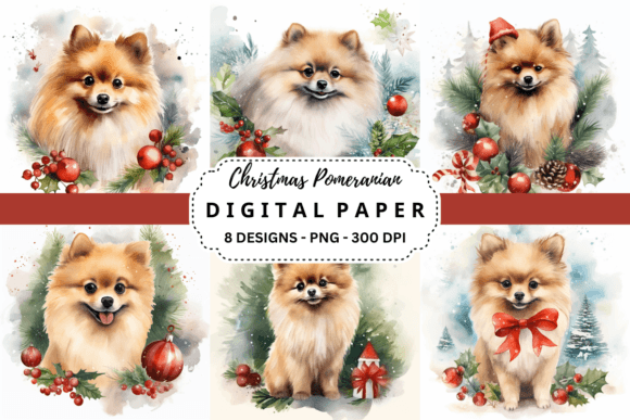Christmas Pomeranian Backgrounds: Festive Design Assets